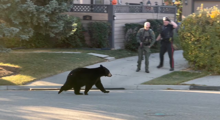 �� �� �� � ������ ��������!