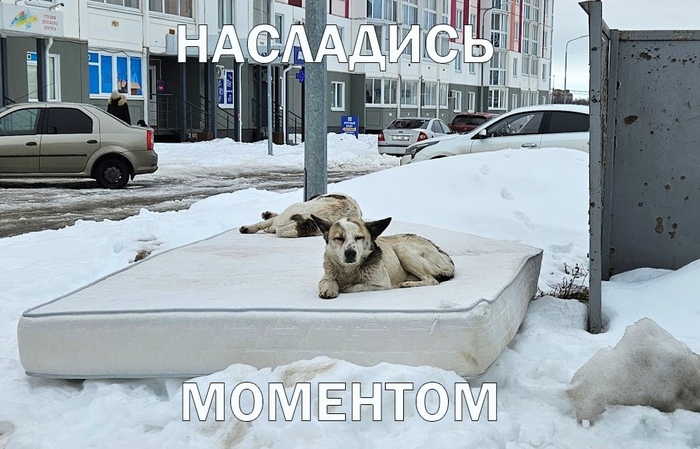 �� ������� ������