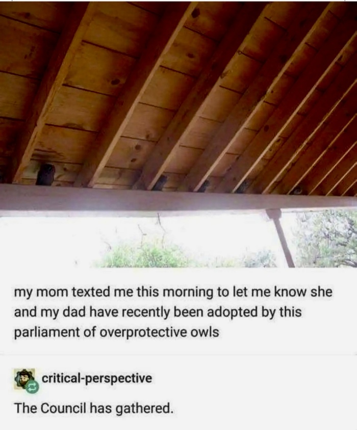 ��������� �������