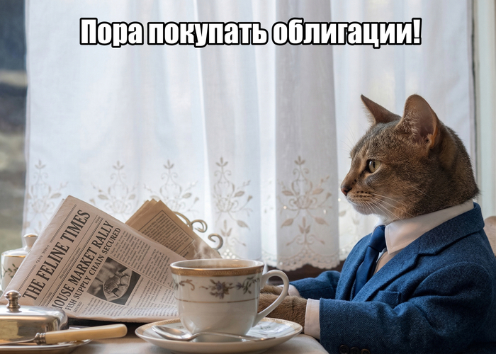 ���������, ����� � ��������� ������������ ���������� � ��� ��� ����� � � ��� �������