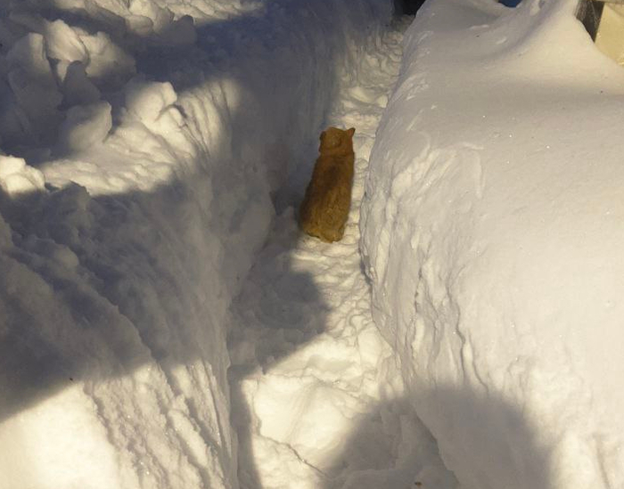 � ������� ���� ����������, �� ���-�� �����