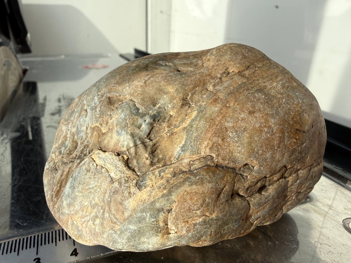 ������� ��������