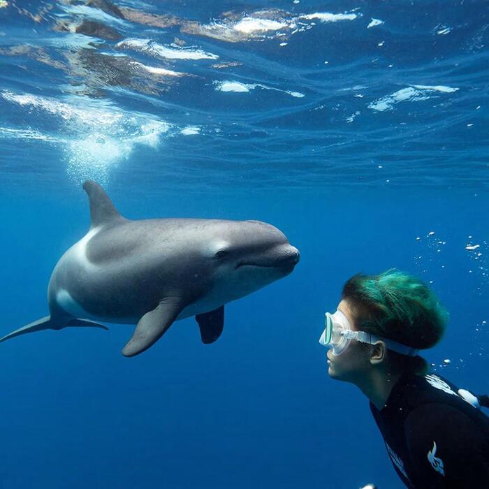 ����������� ������� � ������� ��.