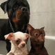 ����� ����� ������ ���� �����������