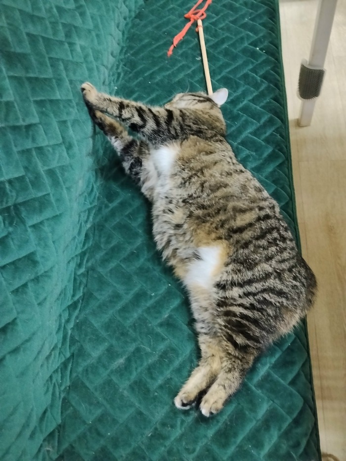 ����� ���������� ����� ��������� �� ������