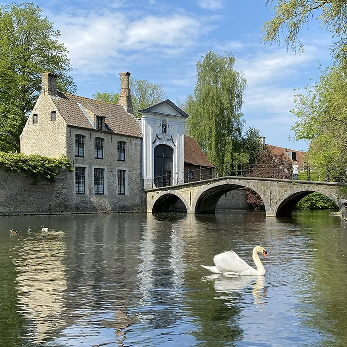 ��������� ������, ���� �� �������� ������