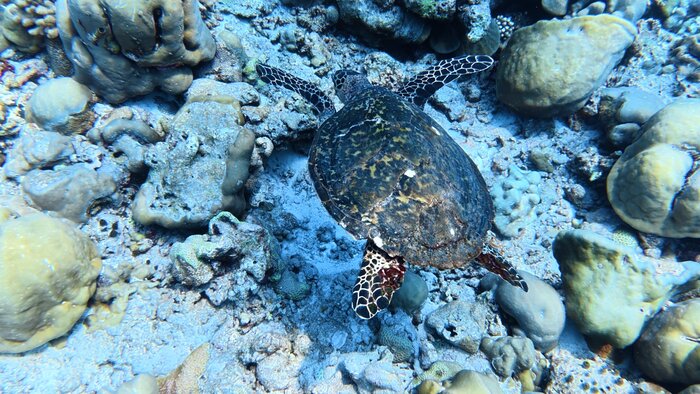 ������ �� ��������. ���������� � ���� ����� ������