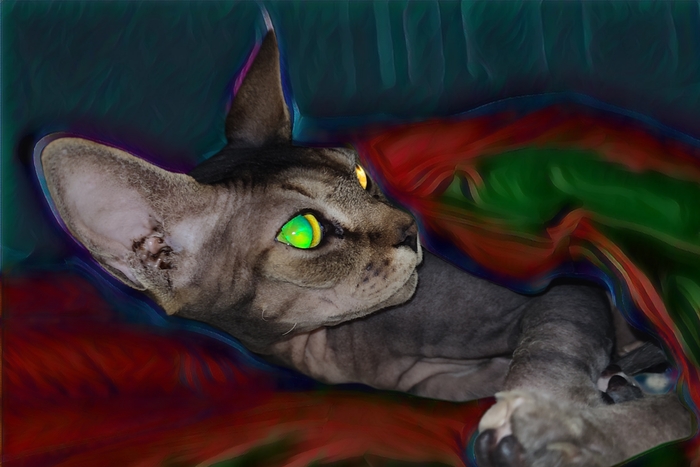 Вышел из сумрака )