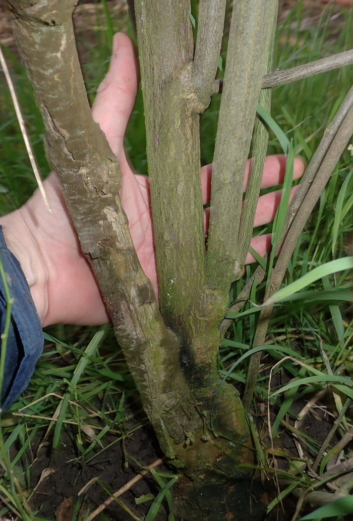 ����� ����������������� �����.