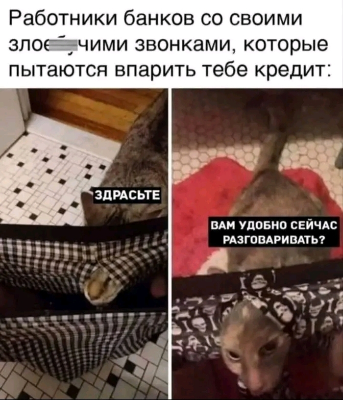 ������ ����?