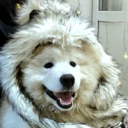 Geralt.Whitewolf