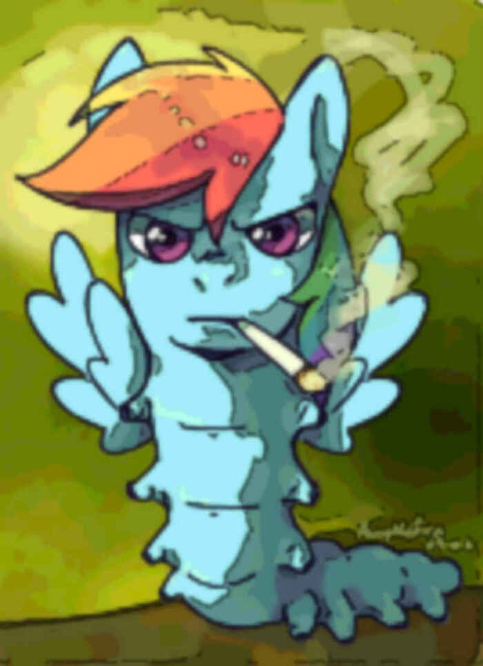 ������, ������� - ���, ������������ - ���, ����������� - ���, ����������� ������������ - �������� ����, ����� ���. ���� �����