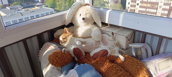 ����������, ��� �������, ����� �����...