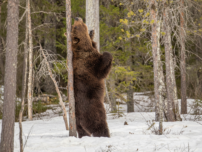 ������ ��������� ���������� ���������� ���������� ������: ��� ���� ������������ ��� �������, ��� ���� ������������� ������.