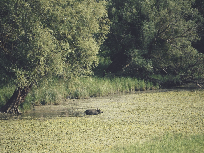 �������� �������� ������� ������ � ��� ��������� ������� ����� � ��������� �������.