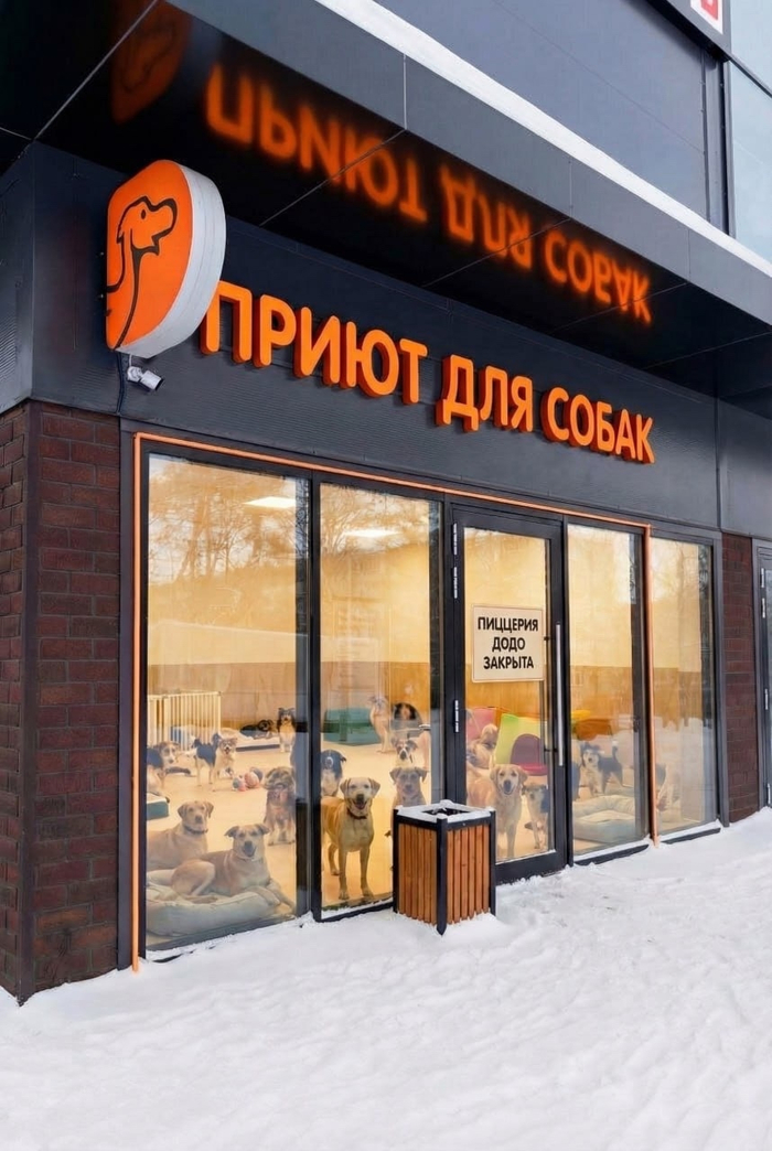 Приют для додиков