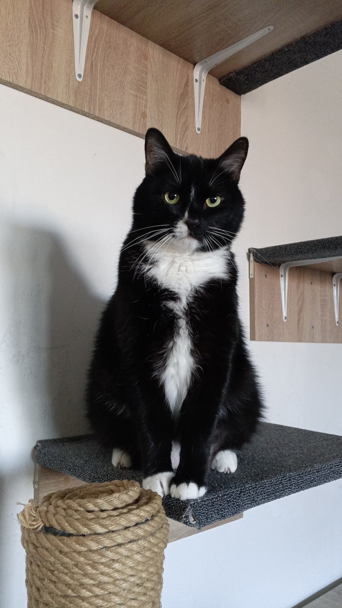 ����� �� ���� ��� �� �������� ����� �����