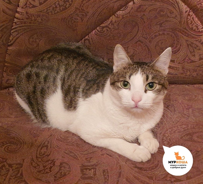 ���������� �������� ���� �������.