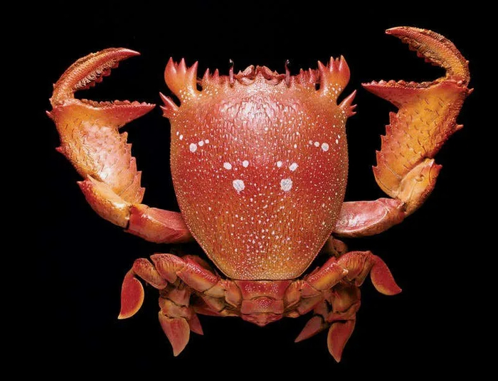 ������� ������� ��������� ������� ����������.