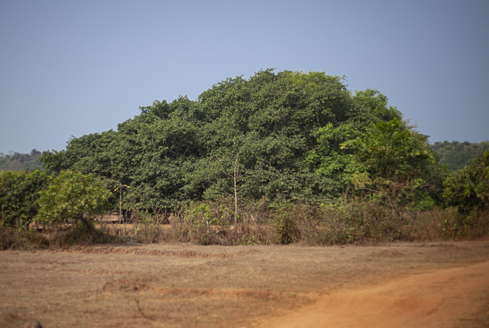 �������� �������� ��� ����. �� ��� �� ���� ��������.