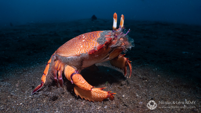 �� �� � �� ������� ����! ���� ������������ ����� �������� � ������ �������!