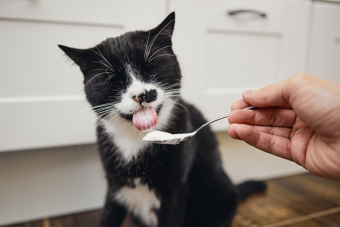 � ��� ������� � ������ ��������!