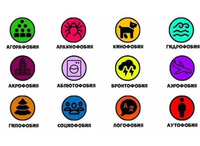 ������������ ����������. �����