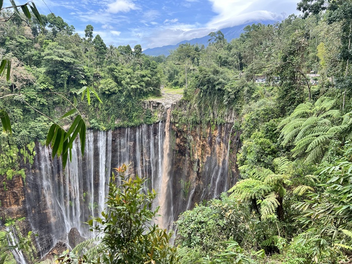 ������� ������ ����