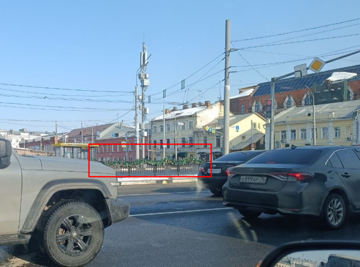 А вы уже выбросили елку