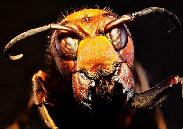 �� ������� �������� ������ ������ � ��������� ����������� ������� �������.