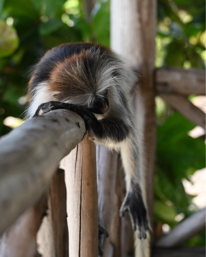 ���������������� ������ ��� ������ ����� �������.