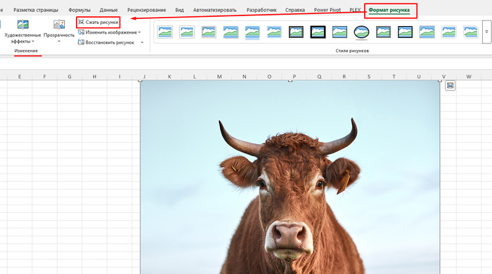 ������ �������� �������� ��������.
