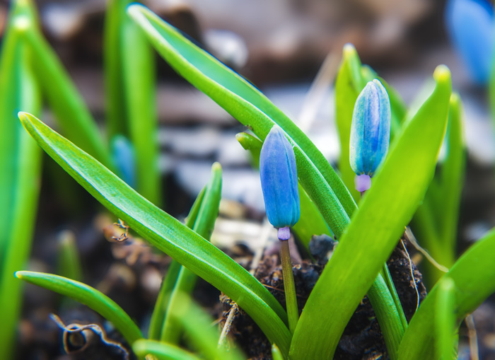 ����������� �����