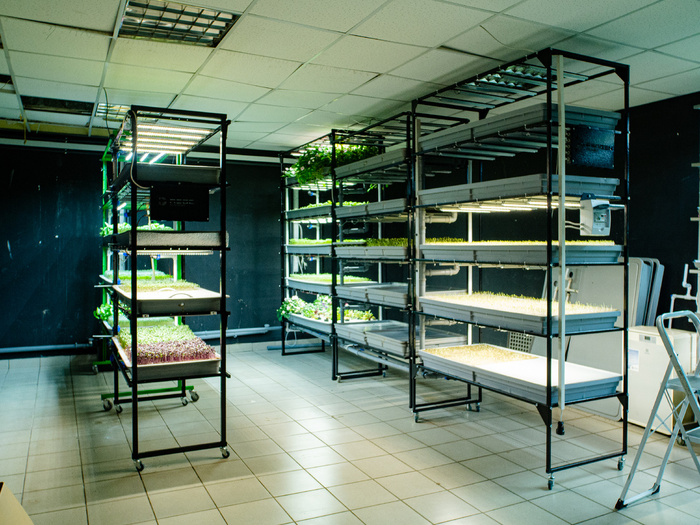 ���������� ������������ �����