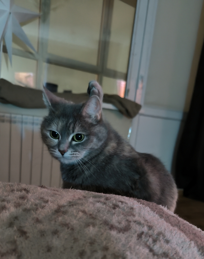 ���� ��� ��� �������� ���� ��������