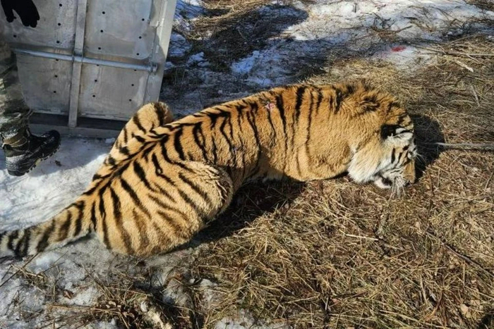 ����: ������������ ������� ���������, ������ ���������� �����, �������� ��������� ���� � ��������� �������� ����������� ����/@minles_pk