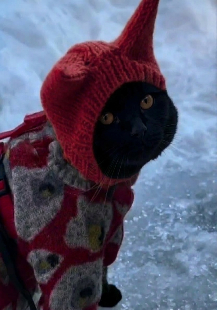 ����� � ���� ���� ���...�� �� �������,��� ��� � ���� ���� �������