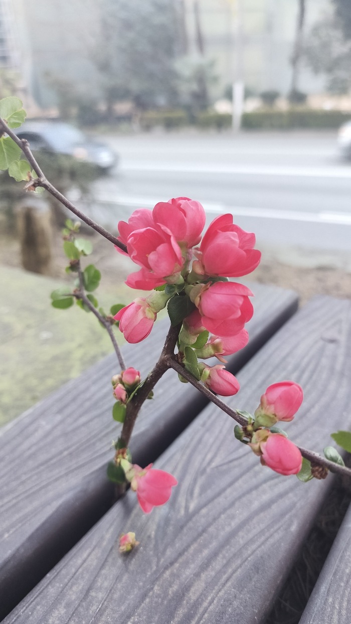 ���� �������� 