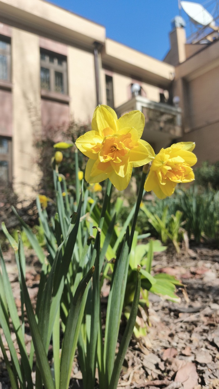 ������� ������