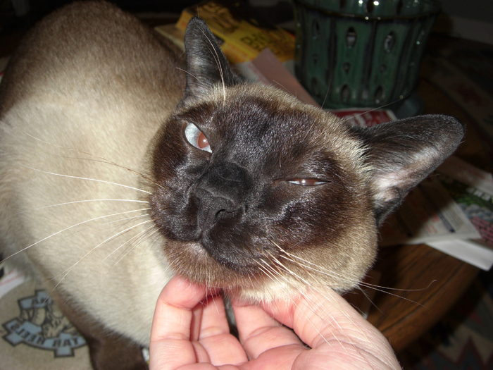 ��������� ������� ����, ����� ����� �� �������. ��� ������ �������, ��� ��������� ������� � ����� ���������� ����� � ����.