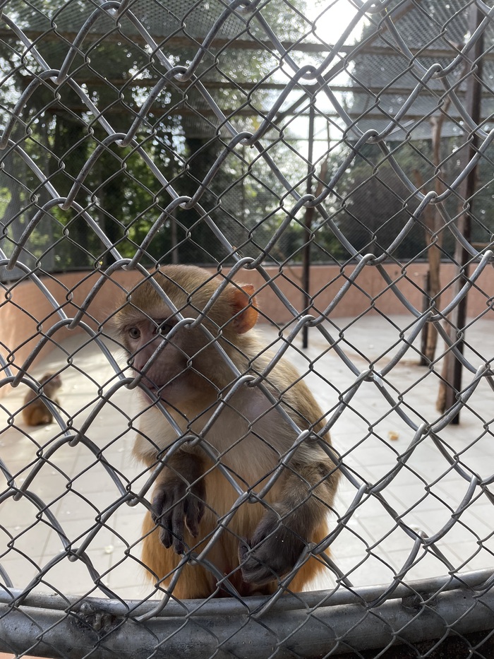 Абхазия — помойка вдоль Чёрного моря