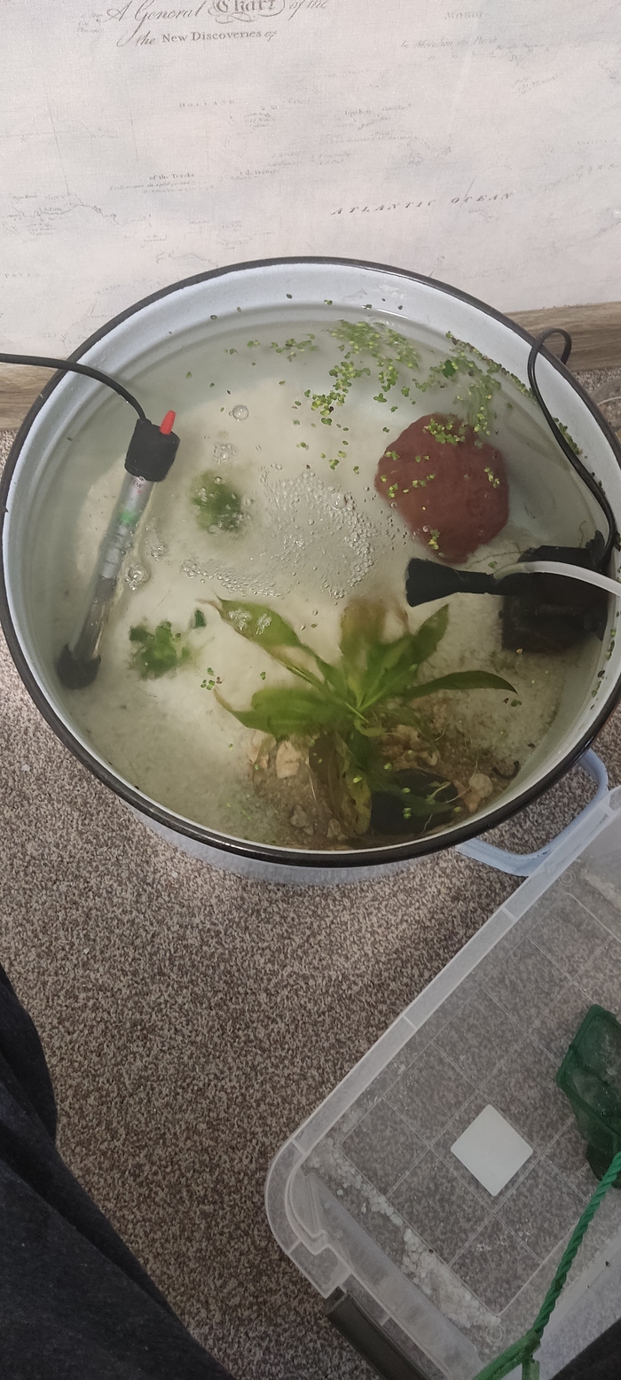 �������� �� ��������: ����� 3