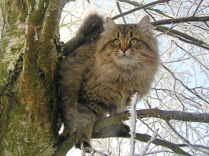 ������ ����� ���� ������ �����.