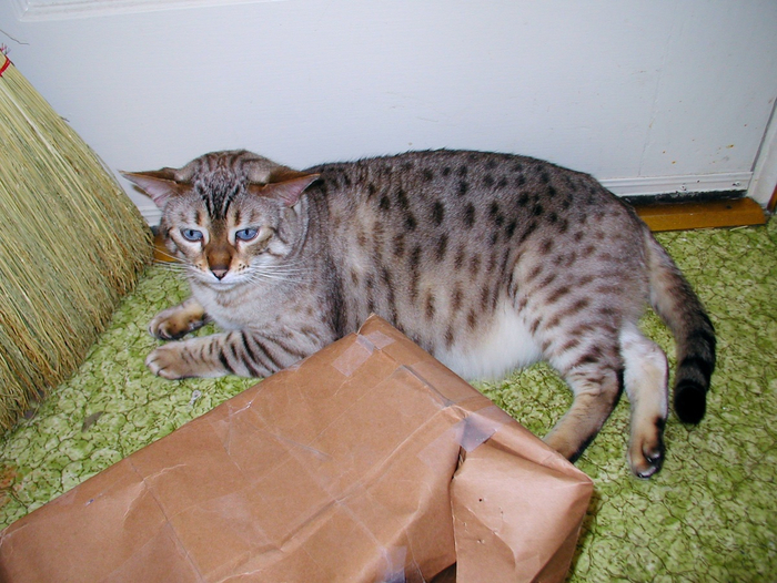 ���� ������� ���������� �������, ��������� ��� � ������ � ���������, �� ������ ��� �������� ����������� ������� �������!