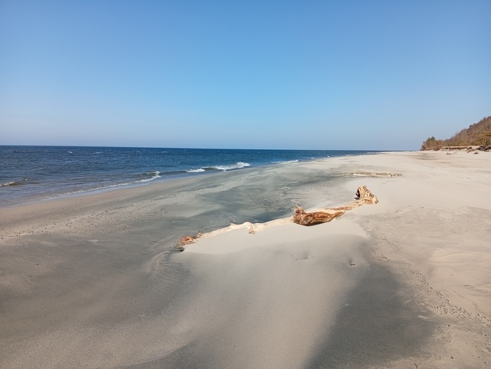 �������� , � ������ ������ �����, ���������, � ��� ��� ��� ����� ������ ������-����� �����.