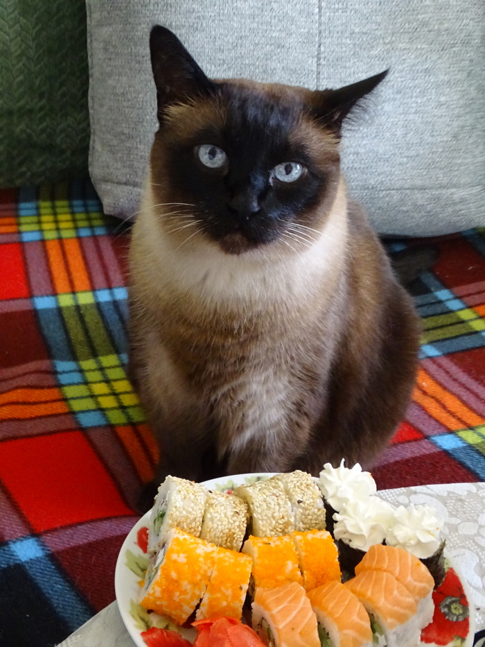 Суши под надзором