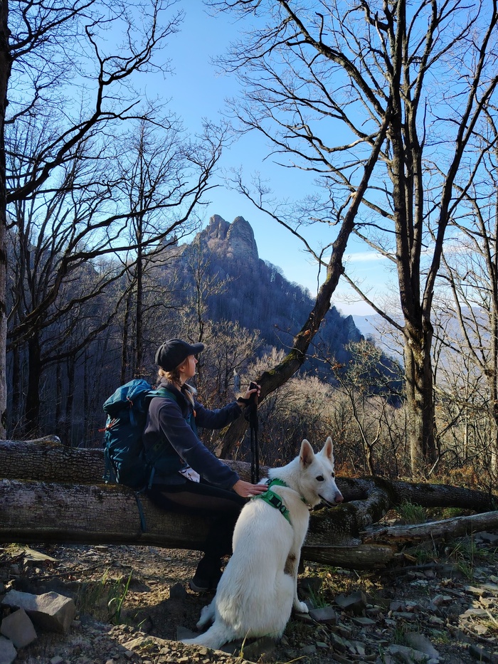 ��� �� ���� �����