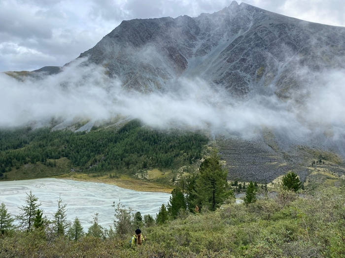 ��������� �����