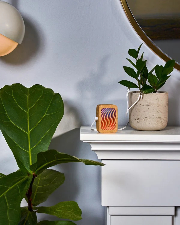 ��������-������ ��� ��� Data Garden �������� ����� � ����� ����� ���������� � ������� �����