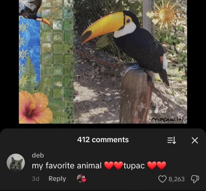 ��� ������� �����, ��� ���